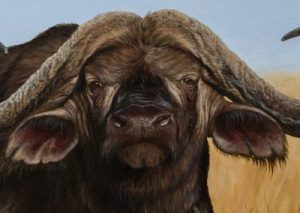 African-Buffalo-400x284