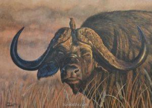 Buffalo-in-brown-400x284