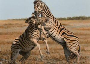 Fighting-for-dominance-400x284