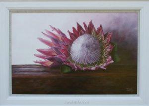 King protea – Reaching for the light (framed 135 x 95cm)