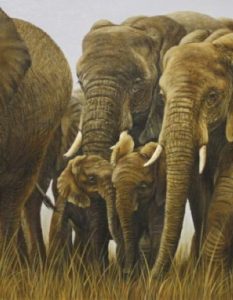 Safe-within-the-herd-400x516