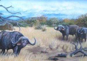 Silent-danger-of-the-bush-400x284
