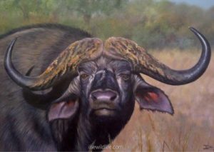 The-buffalo-of-Africa-400x284