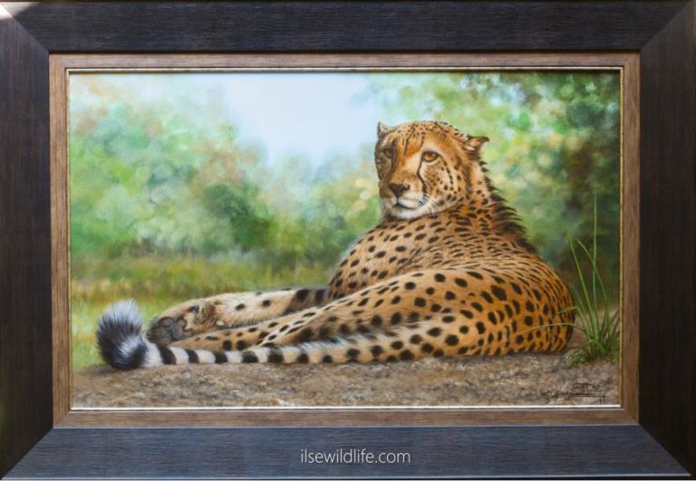 Dappled perfection