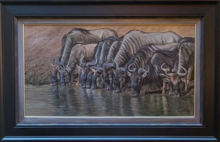 On the backs of the Mara river