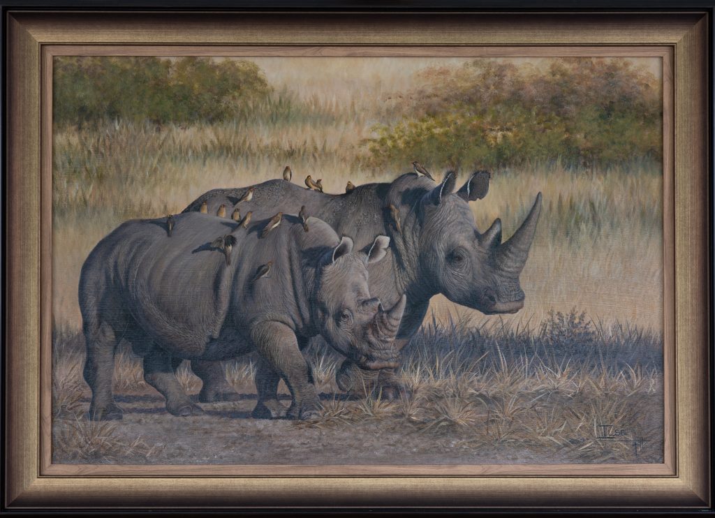 Rhino duo bathed in golden light