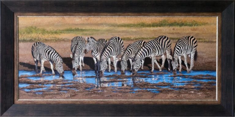 Where zebras & reflected sky meet