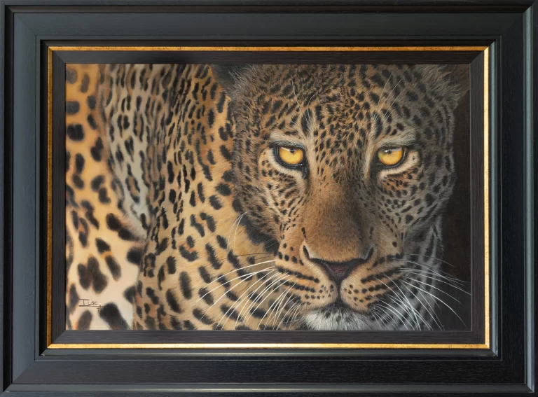 Dangerous eye-contact