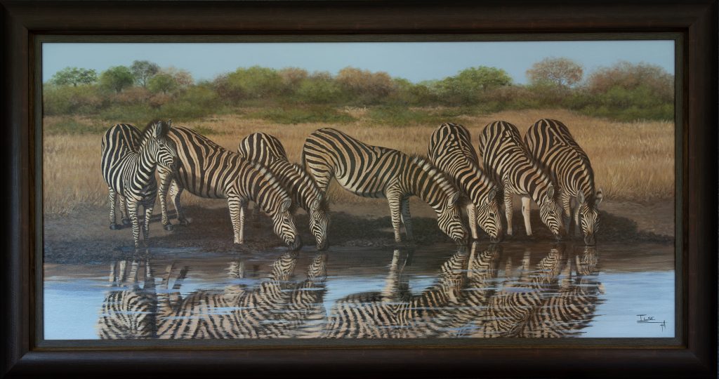 A gathering of stripes @Manyeleti