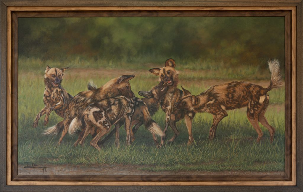 The greeting ceremony (Wild dogs)